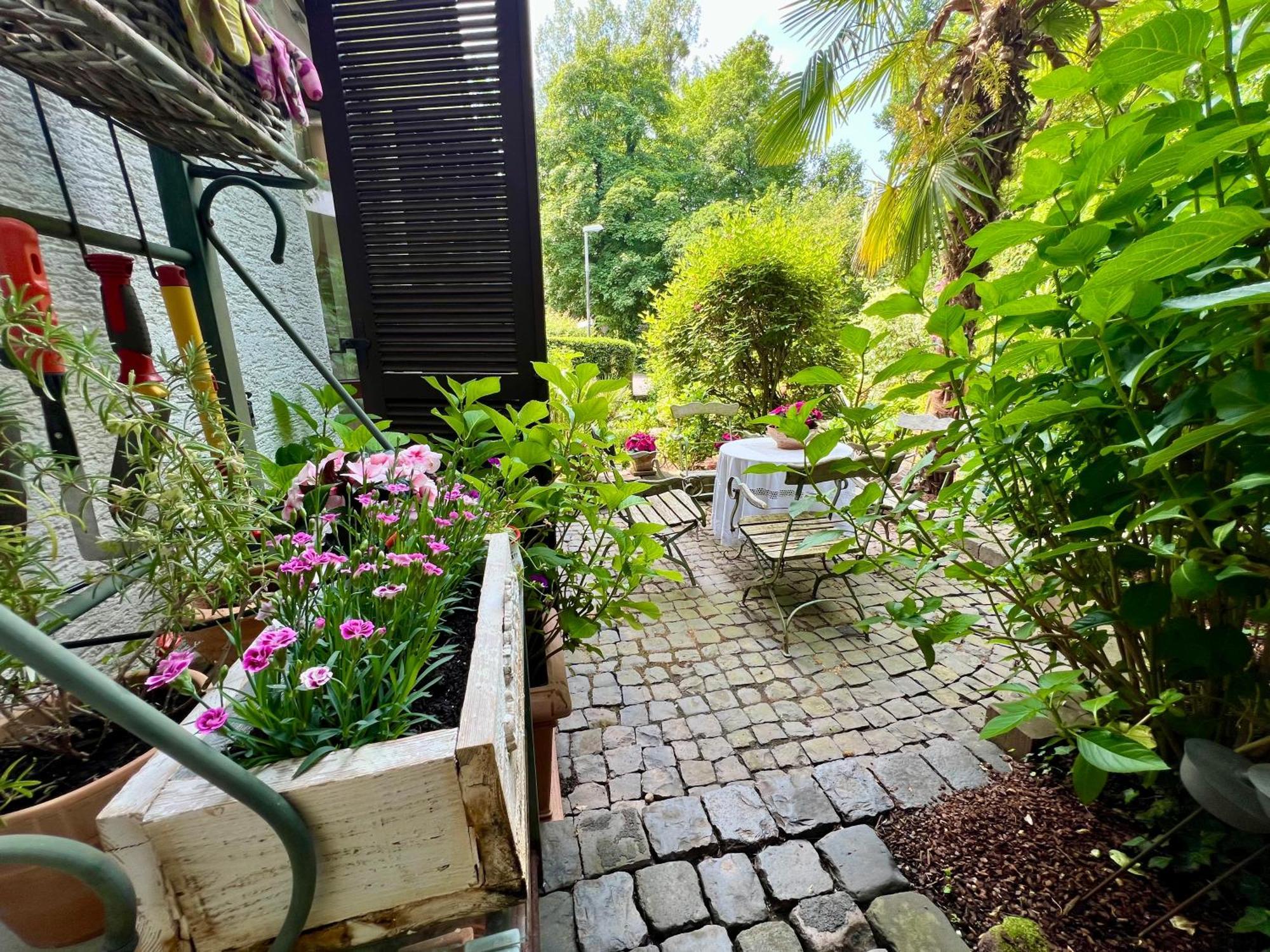 Einliegerwohnung In Einer Muehle Vor Den Toren Frankfurts, Ideal Fuer Messegaeste Oder Stop Over Dreieich Exteriér fotografie
